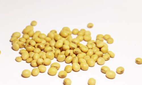 黄豆煮熟后打豆浆有啥好处-黄豆煮熟打豆浆和生黄豆打豆浆、黄豆打豆浆是熟的好还是生的好 -黄豆烧熟了打浆和豆浆有什么区别网