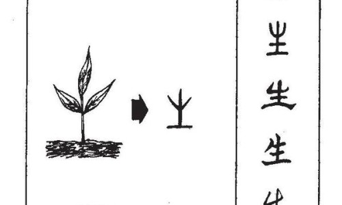 黄豆烧熟了打浆和豆浆有什么区别呢-黄豆煮熟打豆浆和生黄豆打豆浆、黄豆打豆浆是熟的好还是生的好 -黄豆烧熟了打浆和豆浆有什么区别网